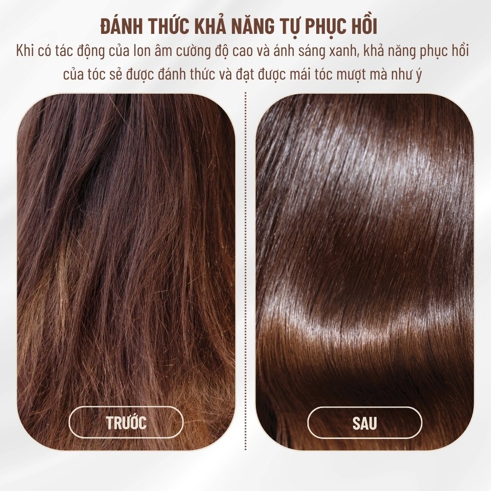 Máy sấy tóc TEKYOMI STL-8558 công suất 2000W – Công nghệ BlueLight, bảo vệ tóc chuẩn salon - Ảnh 6